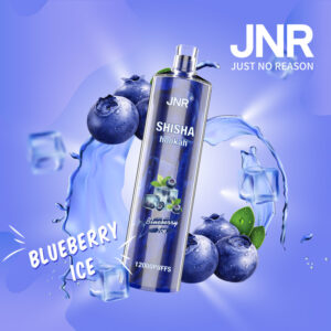 blueberry-ice