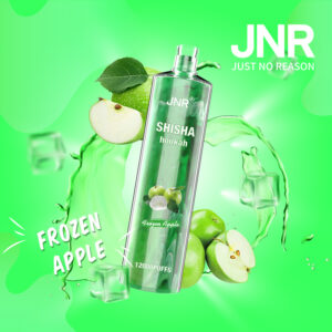 JNR ShiSha Hookah Frozen Apple
