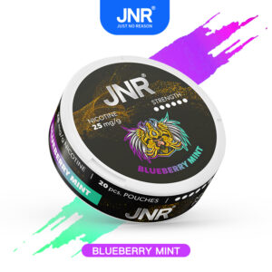 Blueberry Mint