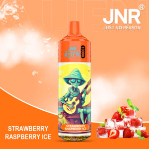 Strawberry Raspberry Ice